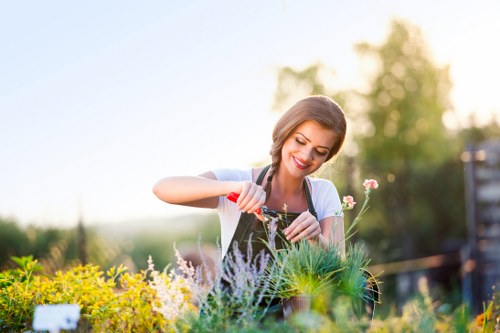 Gardener trimming a suburban hedge in Southfields
