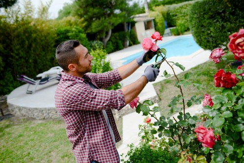 Hedge trimming tools next to a garden fence